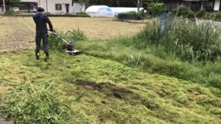 草刈りのご依頼を頂きました！