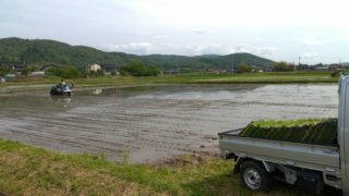 田植えのお手伝いを致しました【広島県三次市】