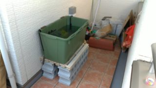 水槽の土台作成を致しました！