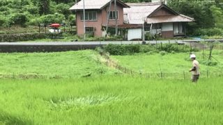 今シーズン最後の農薬散布を行います！【ドローン農薬散布　広島加計】