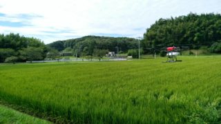 野菜・麦の農薬散布にドローン
