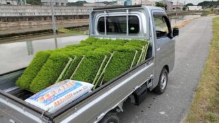 田植えのお手伝いを致しました！【三次市上川立町】