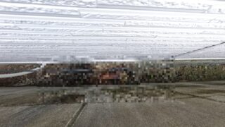 【個人】ネコの死骸処理をしました【広島市中区】