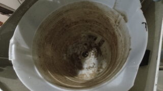 【個人】洗濯機のクリーニングを行いました【広島市西区】