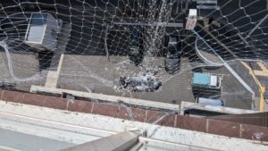 広島市安佐南区のマンションにて、ベランダの鳥よけネットに絡まったハトの救出作業を行う「広島の便利屋 万(べんりや ばん)」。元消防士が衛生面も考慮し迅速に対応。