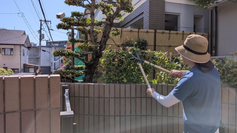 庭木の剪定・伐採、草刈り