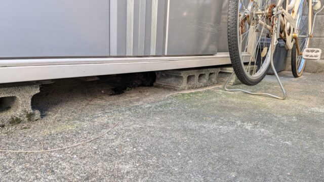 【広島市 安佐南区】手の届かない「倉庫の下」での緊急事態！ネコの死骸処理に即日対応しました｜便利屋 万