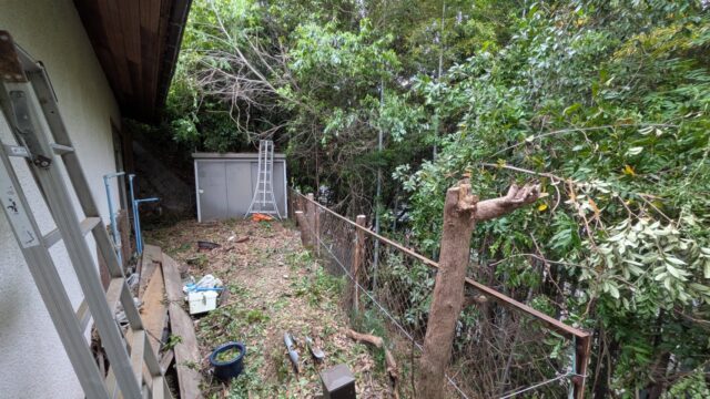 【広島市 安佐南区】広いお庭をまるごとスッキリ！二日間にわたる「庭木の伐採作業」を安全に完遂｜便利屋 万