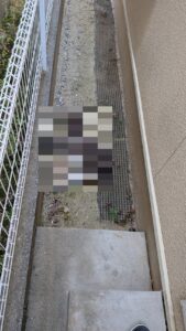 広島市安佐南区にて、電話依頼から1時間以内のスピードでネコの死骸処理に駆けつける近所の便利屋さん「万(べんりや ばん)」。