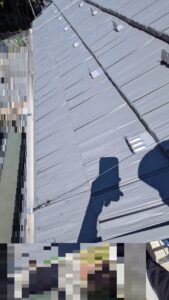 広島市安佐北区にて、当日依頼を受け屋根上の鳥の死骸調査に即日対応する近所の便利屋さん「万（べんりや ばん）」。