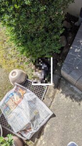 広島市安佐南区にて、一人暮らしのご高齢のお客様からSOSを受け、子猫の死骸処理に即日対応する近所の便利屋さん「万(べんりや ばん)」。