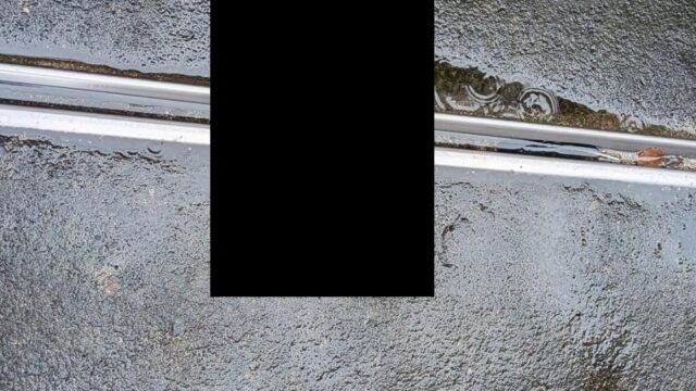 【広島市 東区】当日依頼に即日出動!突然の「カラスの死骸処理」も元消防士が迅速・適切に対応します|便利屋 万