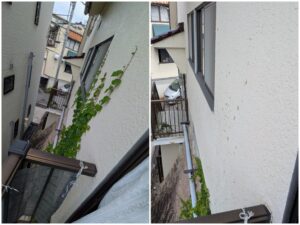 広島市東区にて、高齢のご夫婦よりご依頼を受け、梯子を使用して擁壁の雑草処理と除草剤散布を行う近所の便利屋さん「万（べんりや ばん）」。隣家への事前の丁寧なご挨拶も実施。