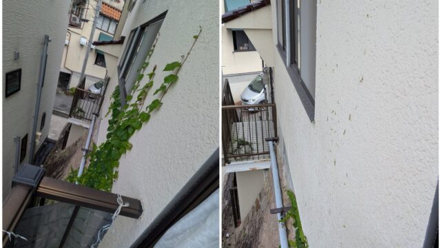 【広島市 東区】ご高齢ご夫婦からのご依頼！隣家へのご挨拶も万全、梯子を使った「擁壁の雑草処理＆除草剤散布」｜便利屋 万