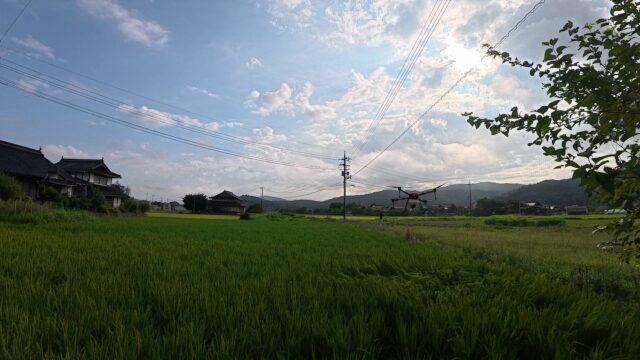 【広島県三次市】早朝からドローン農薬散布！2町6反の広大な農地を2名体制で迅速に完遂｜便利屋 万